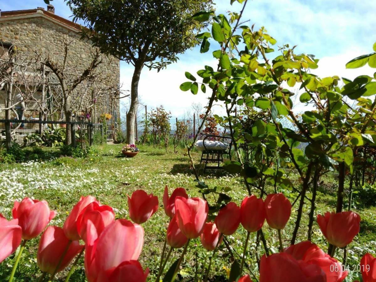 House With Stunning Views Villa Chiusdino Eksteriør bilde